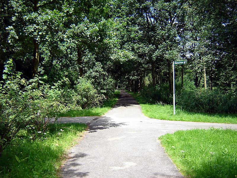 dsc02873.jpg