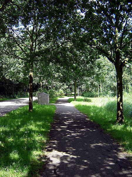 dsc02874.jpg