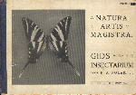 Natura Artis Magistra; Gids voor het insectarium